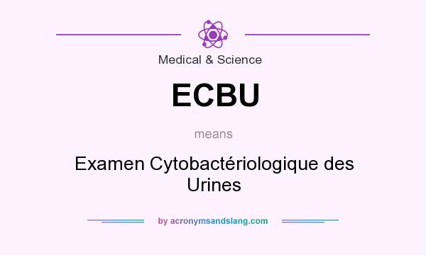 What does ECBU mean? It stands for Examen Cytobactériologique des Urines