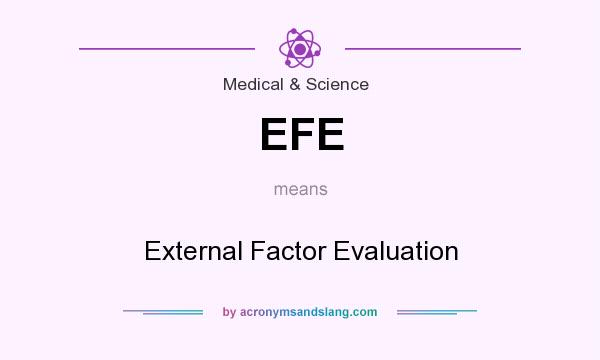 What does EFE mean? It stands for External Factor Evaluation