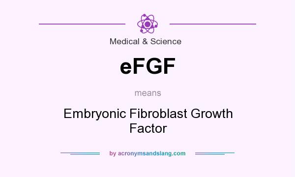 What does eFGF mean? It stands for Embryonic Fibroblast Growth Factor