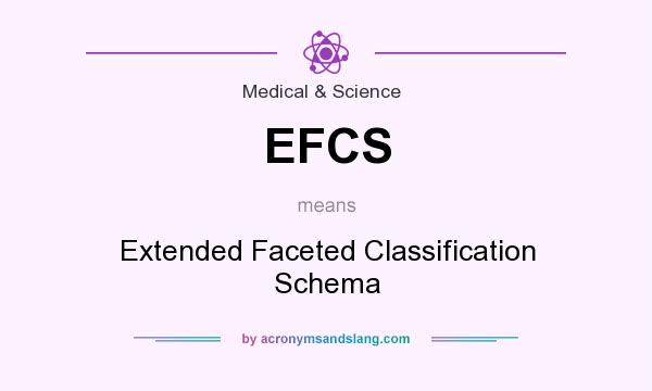 What does EFCS mean? It stands for Extended Faceted Classification Schema