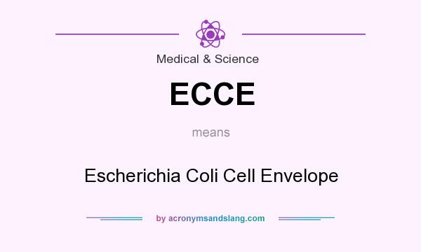 What does ECCE mean? It stands for Escherichia Coli Cell Envelope