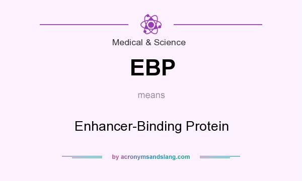 What does EBP mean? It stands for Enhancer-Binding Protein
