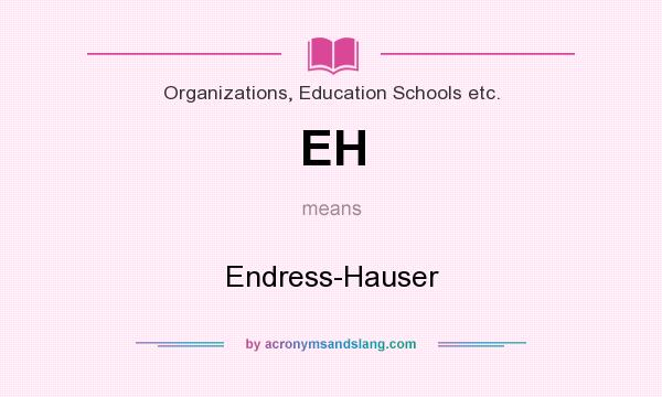 What does EH mean? It stands for Endress-Hauser