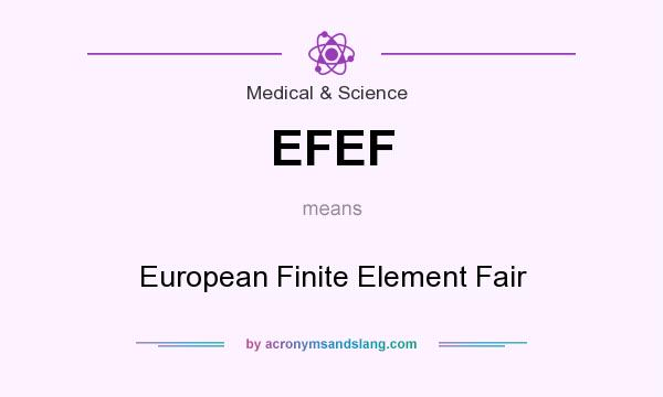 What does EFEF mean? It stands for European Finite Element Fair