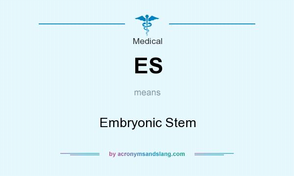 What does ES mean? It stands for Embryonic Stem