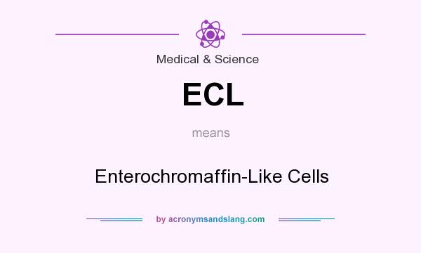 What does ECL mean? It stands for Enterochromaffin-Like Cells