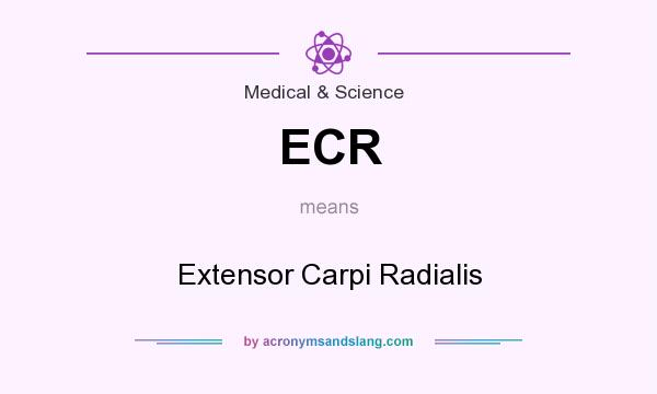 What does ECR mean? It stands for Extensor Carpi Radialis