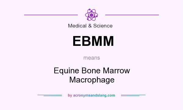 What does EBMM mean? It stands for Equine Bone Marrow Macrophage