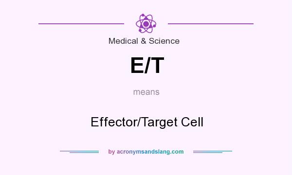 What does E/T mean? It stands for Effector/Target Cell