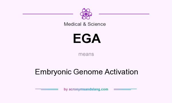 What does EGA mean? It stands for Embryonic Genome Activation