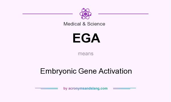 What does EGA mean? It stands for Embryonic Gene Activation