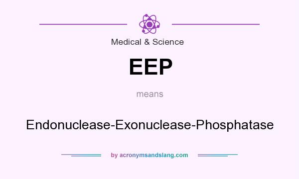 What does EEP mean? It stands for Endonuclease-Exonuclease-Phosphatase