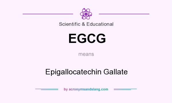 What does EGCG mean? It stands for Epigallocatechin Gallate