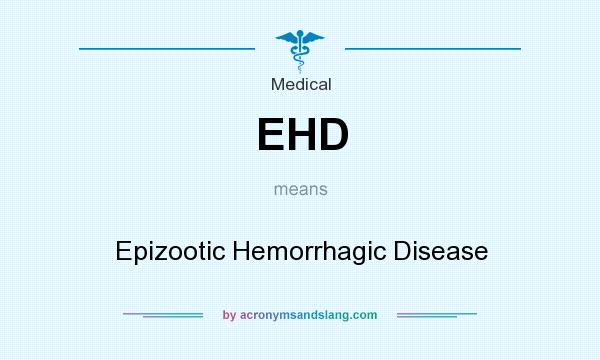 What does EHD mean? It stands for Epizootic Hemorrhagic Disease