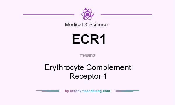 What does ECR1 mean? It stands for Erythrocyte Complement Receptor 1