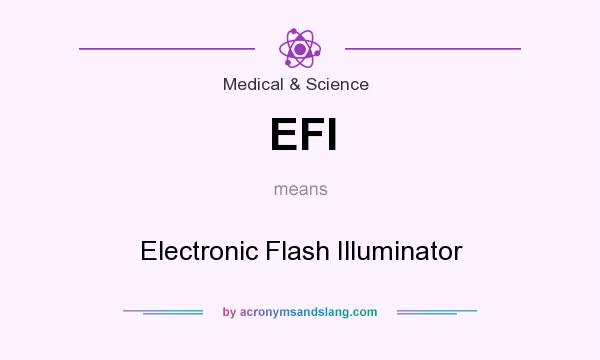 What does EFI mean? It stands for Electronic Flash Illuminator