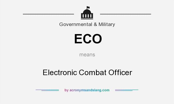 What does ECO mean? It stands for Electronic Combat Officer