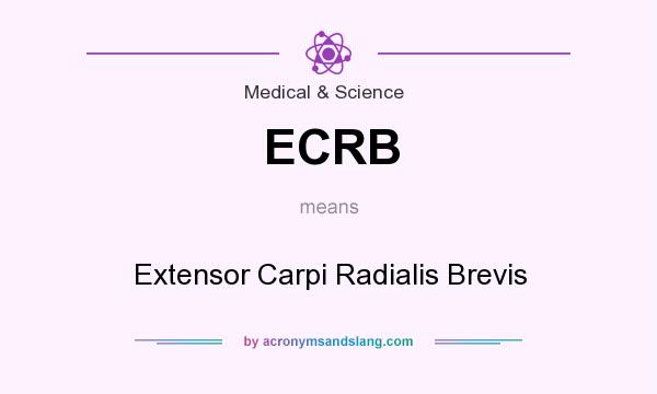 What does ECRB mean? It stands for Extensor Carpi Radialis Brevis