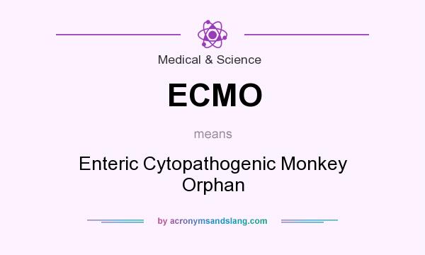 What does ECMO mean? It stands for Enteric Cytopathogenic Monkey Orphan