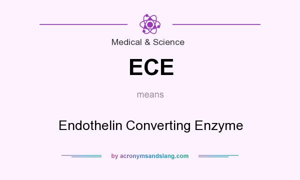 What does ECE mean? It stands for Endothelin Converting Enzyme