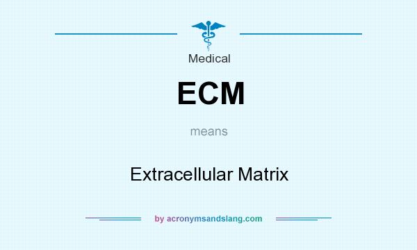 What does ECM mean? It stands for Extracellular Matrix