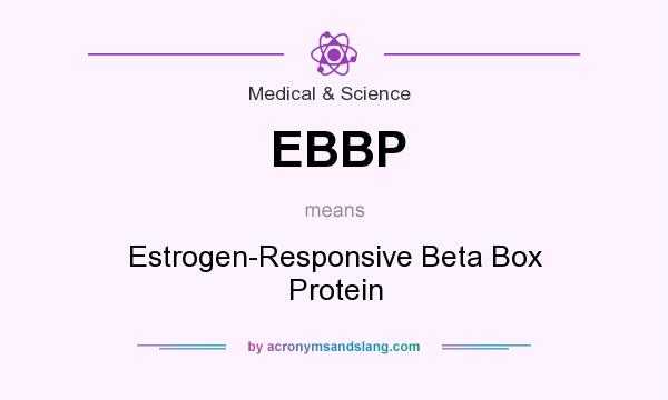 What does EBBP mean? It stands for Estrogen-Responsive Beta Box Protein
