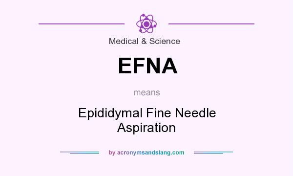 What does EFNA mean? It stands for Epididymal Fine Needle Aspiration