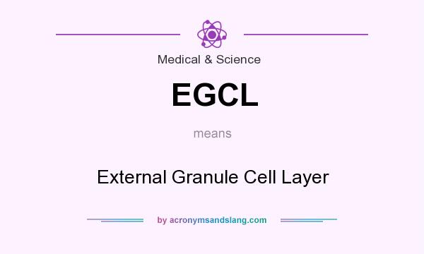 What does EGCL mean? It stands for External Granule Cell Layer