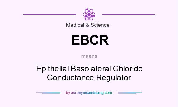 What does EBCR mean? It stands for Epithelial Basolateral Chloride Conductance Regulator