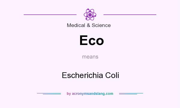What does Eco mean? It stands for Escherichia Coli