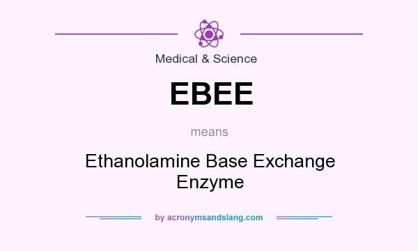 What does EBEE mean? It stands for Ethanolamine Base Exchange Enzyme