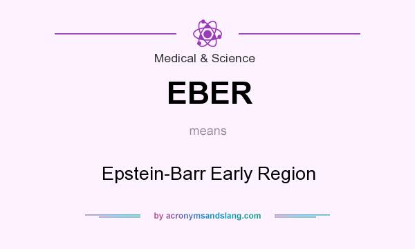 What does EBER mean? It stands for Epstein-Barr Early Region