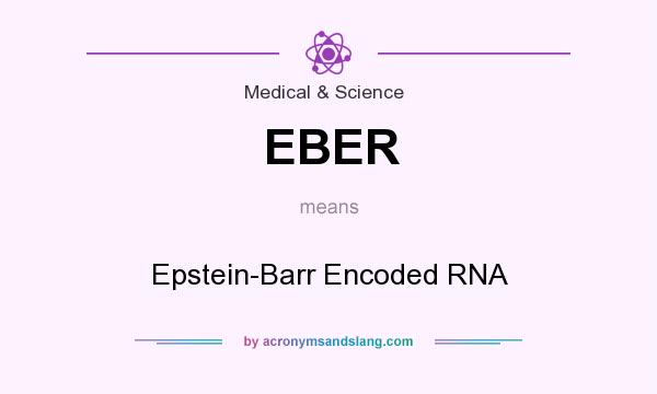 What does EBER mean? It stands for Epstein-Barr Encoded RNA