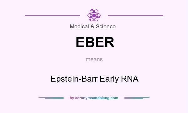What does EBER mean? It stands for Epstein-Barr Early RNA