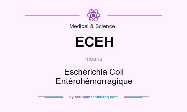 What does ECEH mean? It stands for Escherichia Coli Entérohémorragique