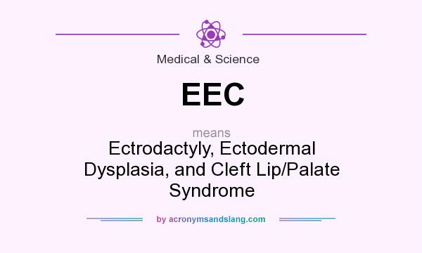 What does EEC mean? It stands for Ectrodactyly, Ectodermal Dysplasia, and Cleft Lip/Palate Syndrome