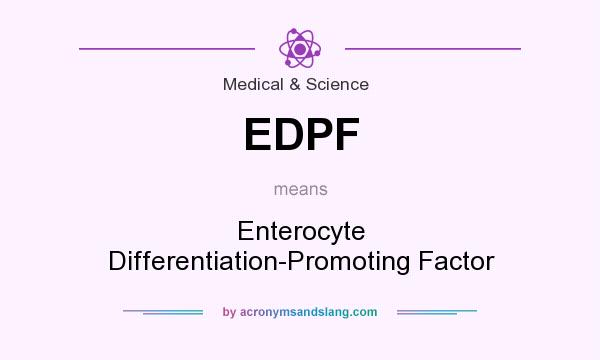 What does EDPF mean? It stands for Enterocyte Differentiation-Promoting Factor