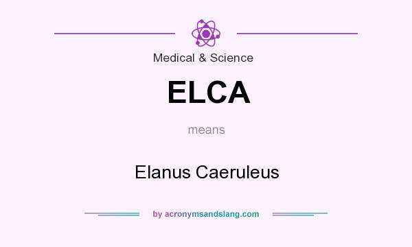 What does ELCA mean? It stands for Elanus Caeruleus