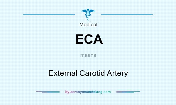 What does ECA mean? It stands for External Carotid Artery