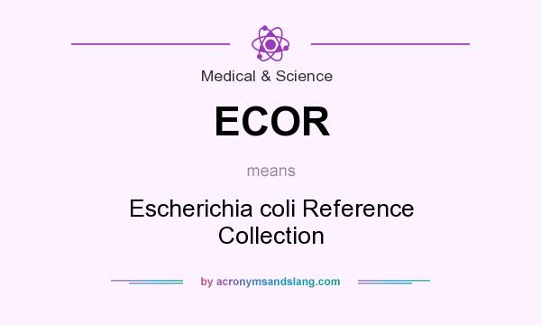 What does ECOR mean? It stands for Escherichia coli Reference Collection