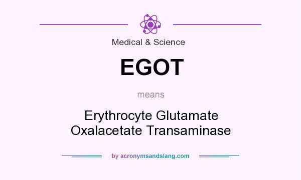 What does EGOT mean? It stands for Erythrocyte Glutamate Oxalacetate Transaminase