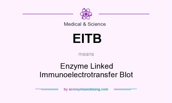 What does EITB mean? It stands for Enzyme Linked Immunoelectrotransfer Blot
