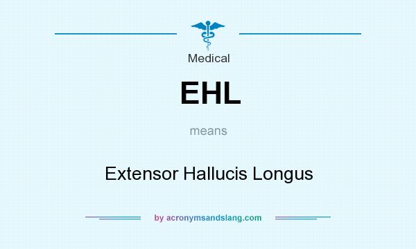 What does EHL mean? It stands for Extensor Hallucis Longus