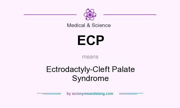 What does ECP mean? It stands for Ectrodactyly-Cleft Palate Syndrome