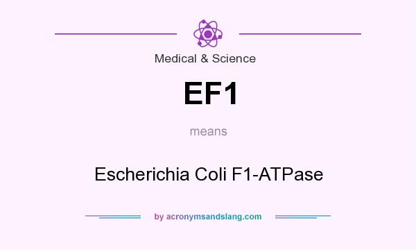 What does EF1 mean? It stands for Escherichia Coli F1-ATPase