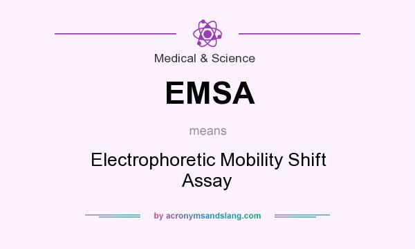 What does EMSA mean? It stands for Electrophoretic Mobility Shift Assay