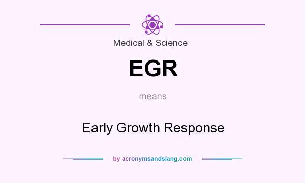 What does EGR mean? It stands for Early Growth Response