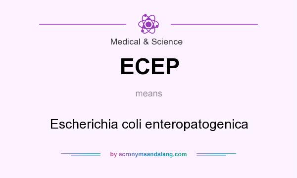 What does ECEP mean? It stands for Escherichia coli enteropatogenica