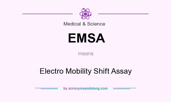 What does EMSA mean? It stands for Electro Mobility Shift Assay