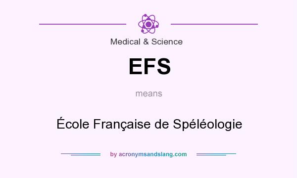 What does EFS mean? It stands for École Française de Spéléologie